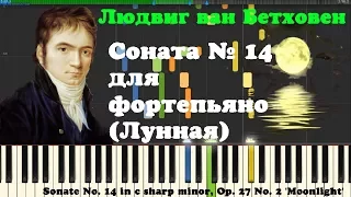 Бетховен.  Соната для фортепиано No. 14 Sonate No  14 in c sharp minor, Op  27 No  2 'Moonlight'