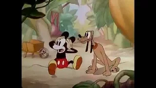 Mickey Mouse - Mickey's Garden - 1935