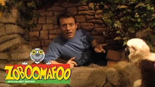 Zoboomafoo 104 - Who's in the hole? (Full Episode)