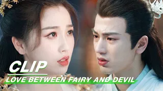 Xiyun says loves the world but also loves the man | Love Between Fairy and Devil EP35 | 苍兰诀 | iQIYI