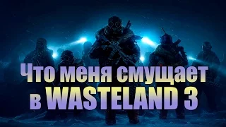 Wasteland 3.  Что меня смущает.  [ИГРОЕД]