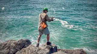 UM CARDUME APARECEU E PEGAMOS MUITOS PEIXES DE CIMA DAS PEDRAS!