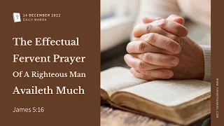 James 5:16 | The Fervent Prayer Of A Righteous Man Availeth Much | Daily Manna