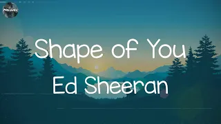 Ed Sheeran - Shape of You (Lyrics) | Adele, Miguel,... (MIX LYRICS)