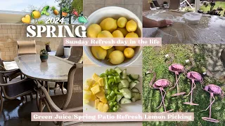 SPRING🪴SUNDAY REFRESH 🧼cleaning the patio,mini haul, lemon picking  #springcleaning #sunday