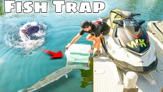 FISH TRAP Catches Exotic Fish Under SHARK Infested Dock! *Unexpected Catch*