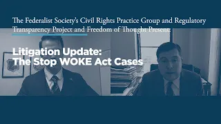 Litigation Update: The Stop WOKE Act Cases