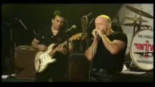 Fabulous Thunderbirds - I believe I'm in love