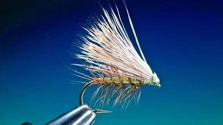 Fly Tying the Elk Hair Caddis/Sedge with Barry Ord Clarke