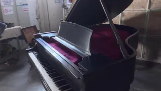 Piano Refinishing - High Gloss vs Satin