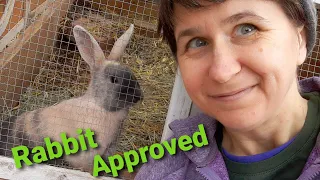 Best Outdoor Rabbit Hutch | Outdoor Play Yard For Bunnies