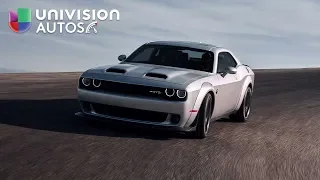 Dodge Challenger SRT Hellcat Redeye 2019, el Hellcat poseído por el Demonio | Univision Autos