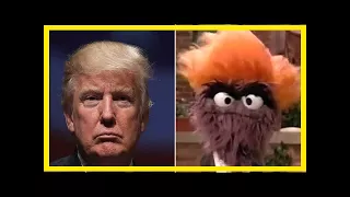 'sesame street' has been mocking trump since 1988 — here are some of the best moments