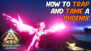 How To Trap and Tame a Phoenix in ARK Survival Ascended #ARK #arksurvivalascended #phoenix