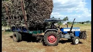 Swaraj 744 tractor Heavy Load with sugar cane