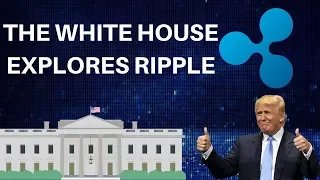 Trump's White House Exploring XRP + Binance Overhaul - Today's Crypto News