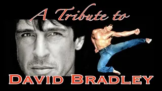 David Bradley Tribute - American Ninja - Cyborg Cop - American Fighter - Forgotten Action Heroes