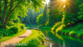 All your worries will disappear if you listen to this music🌿 Relaxing music calms your nerves