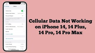 Cellular Data Not Working on iPhone 14, 14 Plus, 14 Pro, 14 Pro Max (Fixed)