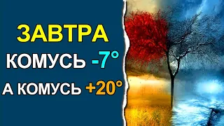 ПОГОДА НА ЗАВТРА: 19 ЛИСТОПАДА 2022 | Точна погода на день в Україні