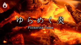 【温もり映像＆音】烈火の中でゆらめく炎・焚き火［5時間］