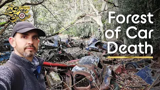 Exploring forest full of abandoned classic and vintage cars. Carchaeology.