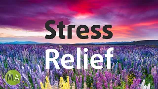 Calm Your Mind Quickly with Stress Relief Isochronic Tones