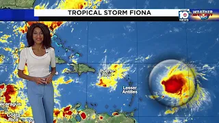 Local 10 News Weather: 09/15/22 Evening Edition