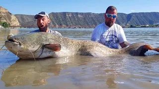 Big catfish from the shore with pellets in Spain - HD by Catfishing World