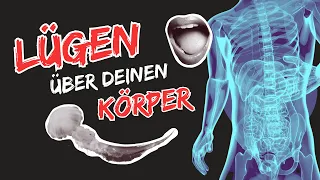 Lügen über DEINEN Körper