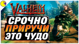 Valheim Пепельные Земли | Пеплосвин ищет Хозяина | Valheim Гайд