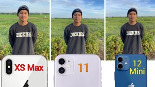 iPhone XS Max vs iPhone 11 vs iPhone 12 Mini Camera Comparison !