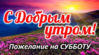 С ДОБРЫМ УТРОМ, УЛЫБАЙСЯ! ОЧЕНЬ КРАСИВОЕ ПОЖЕЛАНИЕ ДОБРОЕ УТРЕЧКО! Открытка доброе утро ХОРОШЕГО ДНЯ