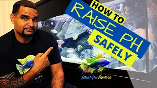 How To Raise PH For African Cichlids - (Do you really have to?)