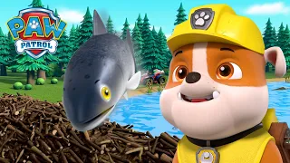 Les chiots aident les poissons à franchir le barrage de castor! PAW Patrol dessins animés