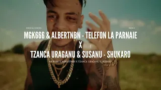 MGK666 ❌ AlbertNBN ❌ Tzanca Uraganu ❌ Susanu - Telefon La Parnaie