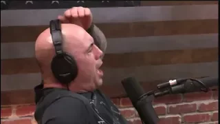 Joe Rogan Reacts to Jeremy Stephens KO'ing Doo-ho Choi