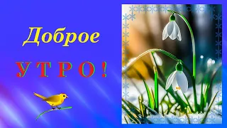 Доброе Утро! День будет радостным.