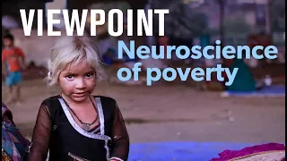 Does poverty damage children's brains? Full interview with Amy Wax | VIEWPOINT