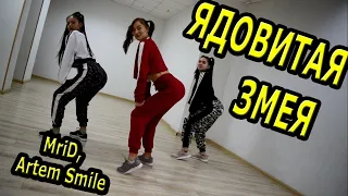 MriD, Artem Smile  - Ядовитая змея.  Танец