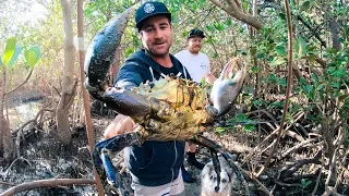 GIANT MUD CRAB Catch And Cook Camp Fire (Rock Knife And Flint) - Ep 90