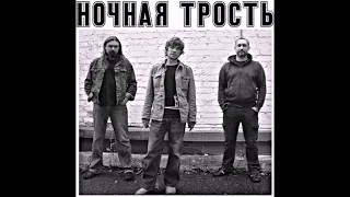 НОЧНАЯ ТРОСТЬ-Новый Порядок(2015)