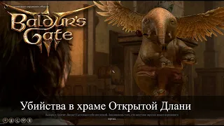 Baldur's Gate 3 Раскрыть убийства в храме Открытой Длани | Solve The Open Hand Temple Murders