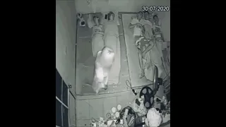 Bete Moj Kardi | Sleepy Girl caught doing weird at night | CCTV Footage of a Girl at night