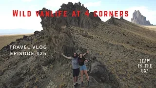 Wild vanlife at Four Corners - Shiprock - LeAw in the USA //Ep.25