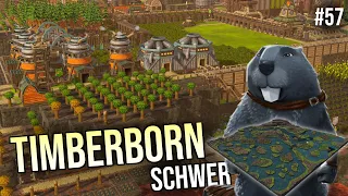 Mit den Eisenzähnen auf Tausend Inseln | Schwer | #57 | Let's play Timberborn | deutsch