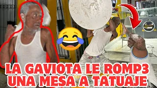 LA GAVIOTA Y TATUAJE SE FAJAN EN EL RETO DE LA HARINA