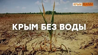 Как Крым живет без днепровской воды