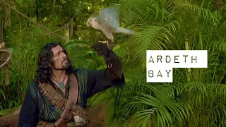 Ardeth Bay | In The End