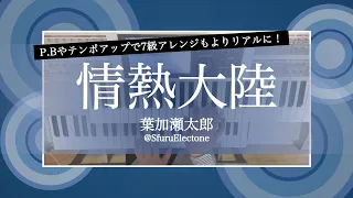 『情熱大陸 | 葉加瀬 太郎（7級）』 を弾いてみた 【エレクトーン（ELS-02C）】